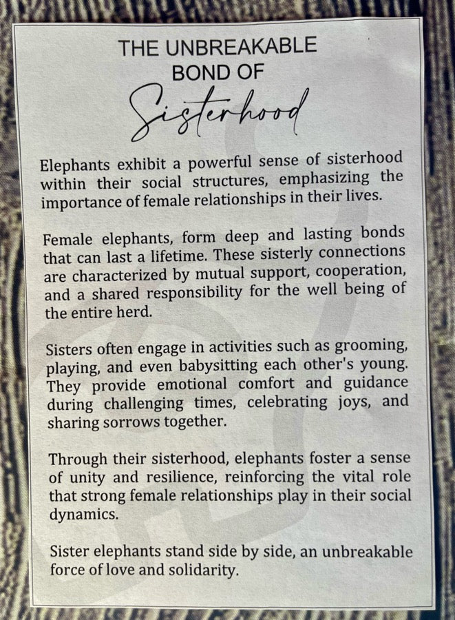 Elephant Sisterhood Wood Ornament Car Charm