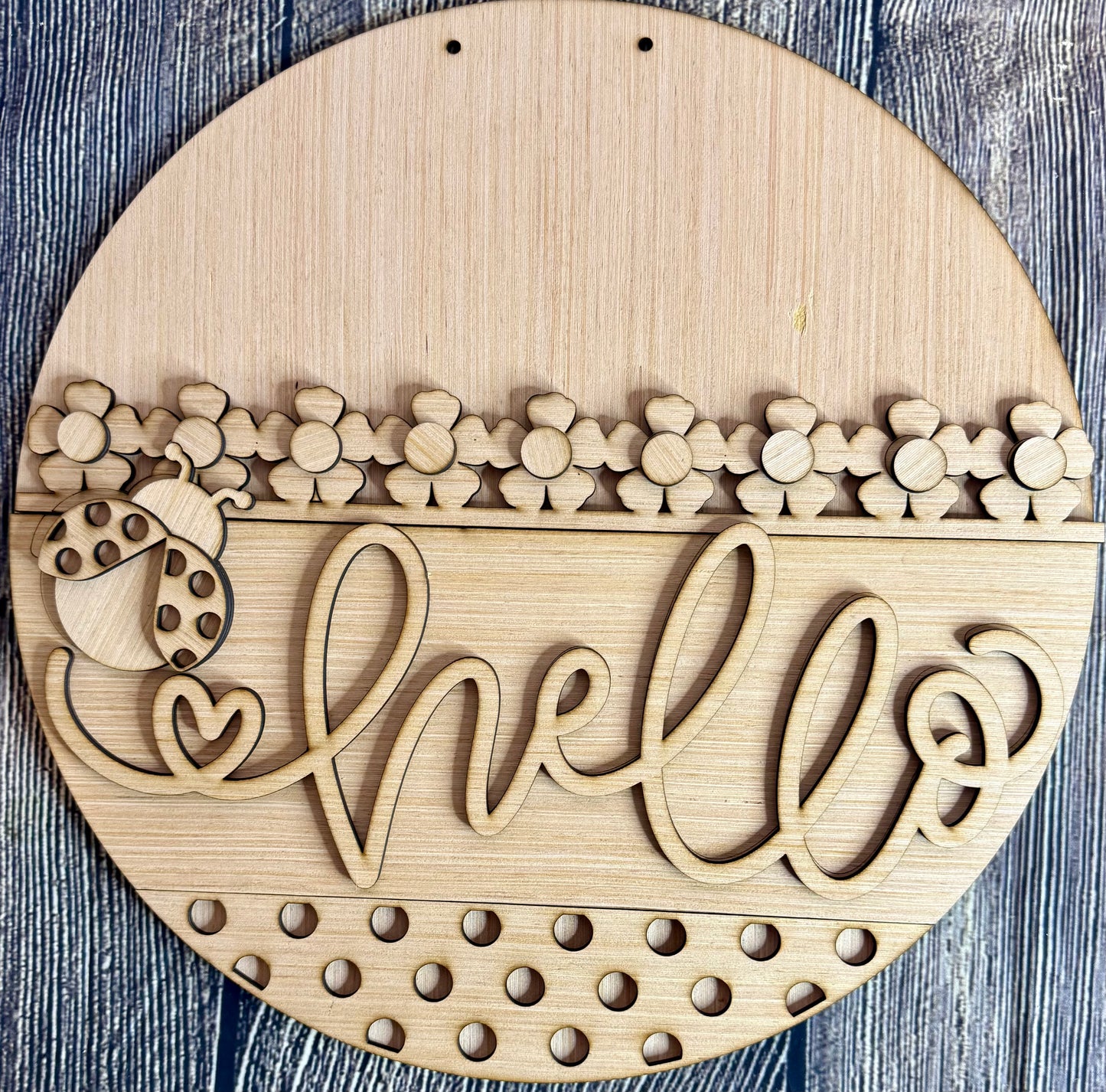 Hello Ladybug Door Hanger Blank