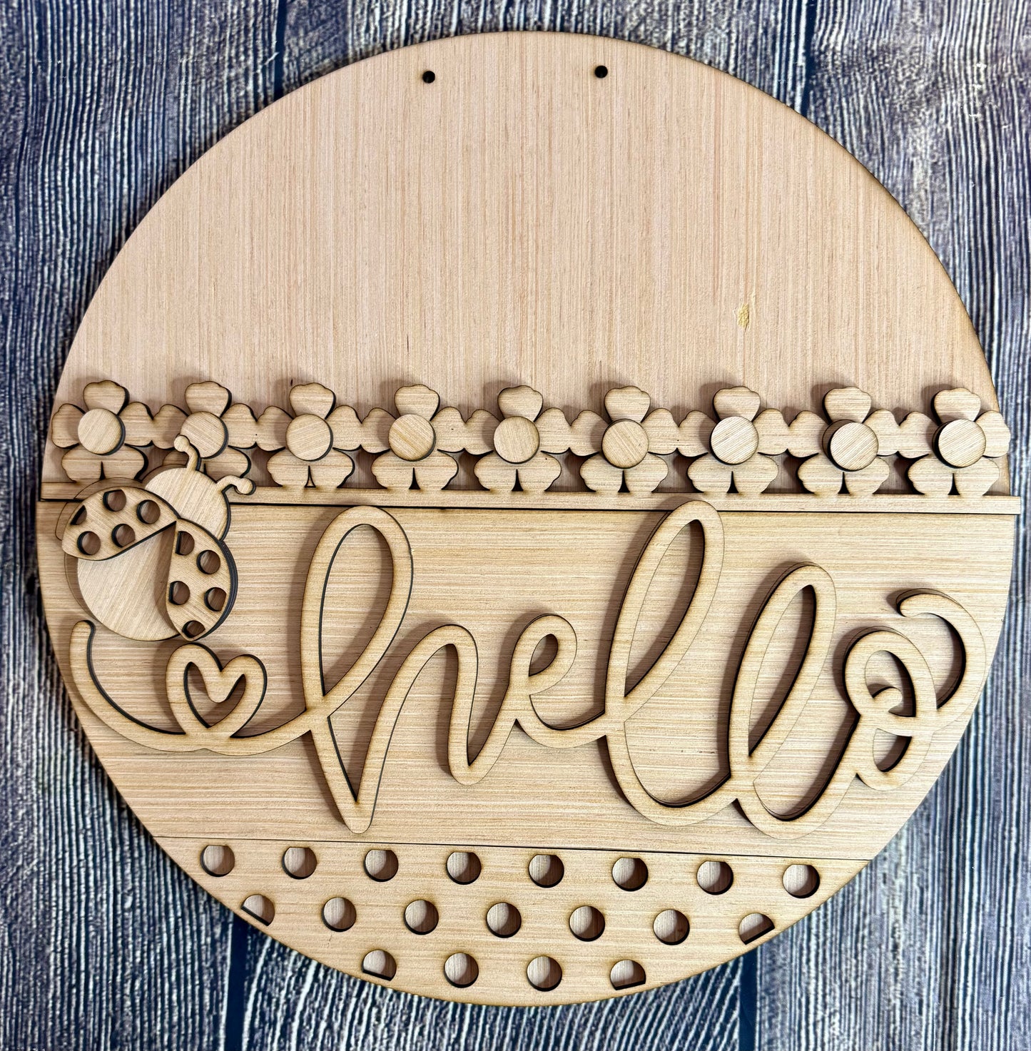 Hello Ladybug Door Hanger Blank