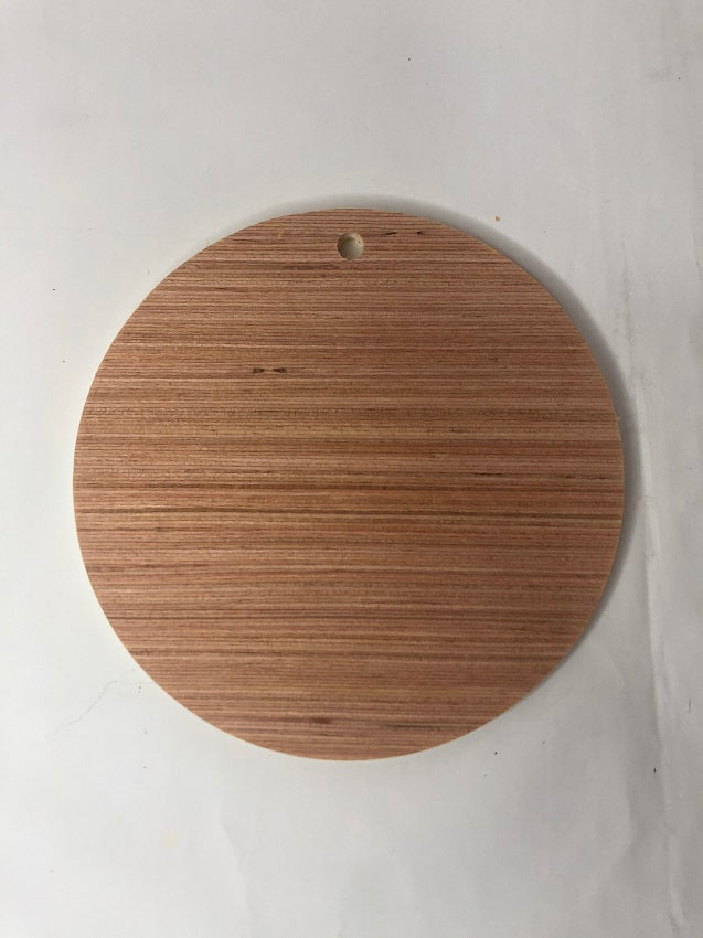 10 DIY 5 inch Wood Craft Circles