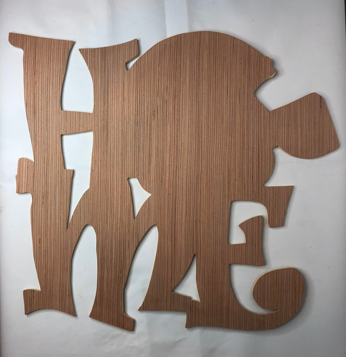 Football Home Wood Door Hanger Blank