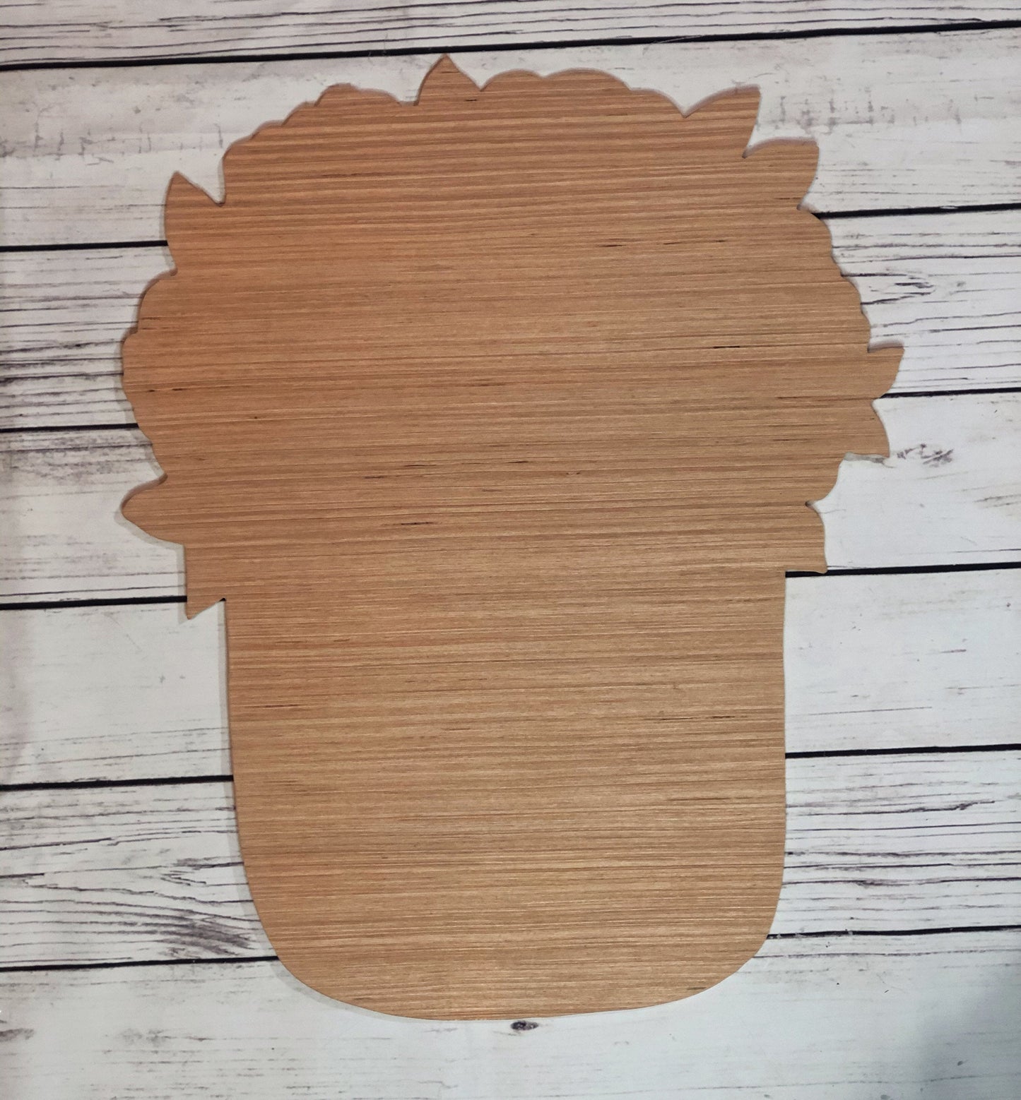 Floral Mason Jar Wood Door Hanger Blank