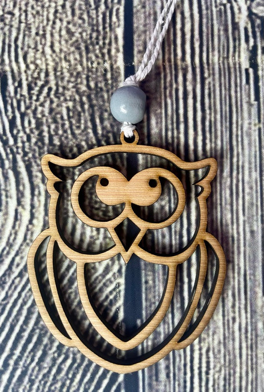 Wise Teacher Owl Wood Ornament