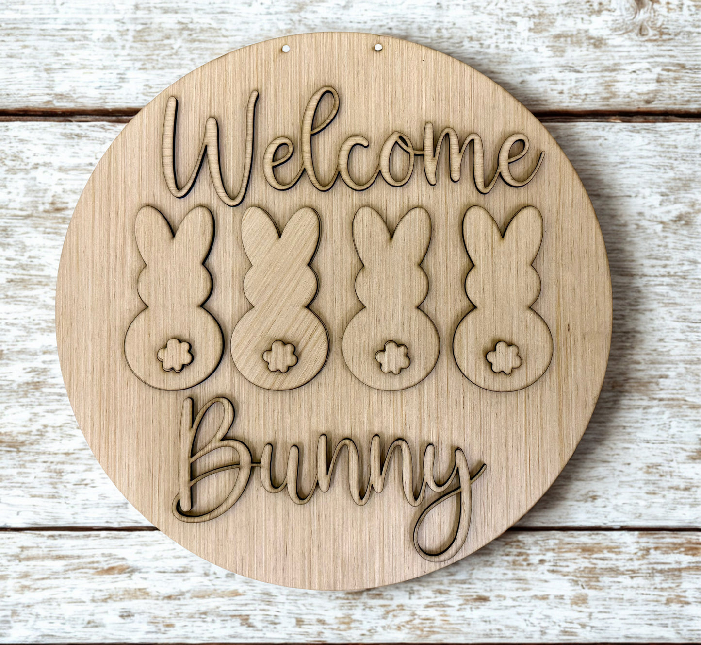 Welcome Bunny Happy Easter Wood Door Hanger Blank