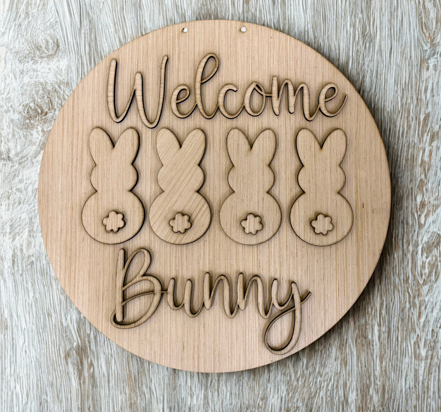 Welcome Bunny Happy Easter Wood Door Hanger Blank