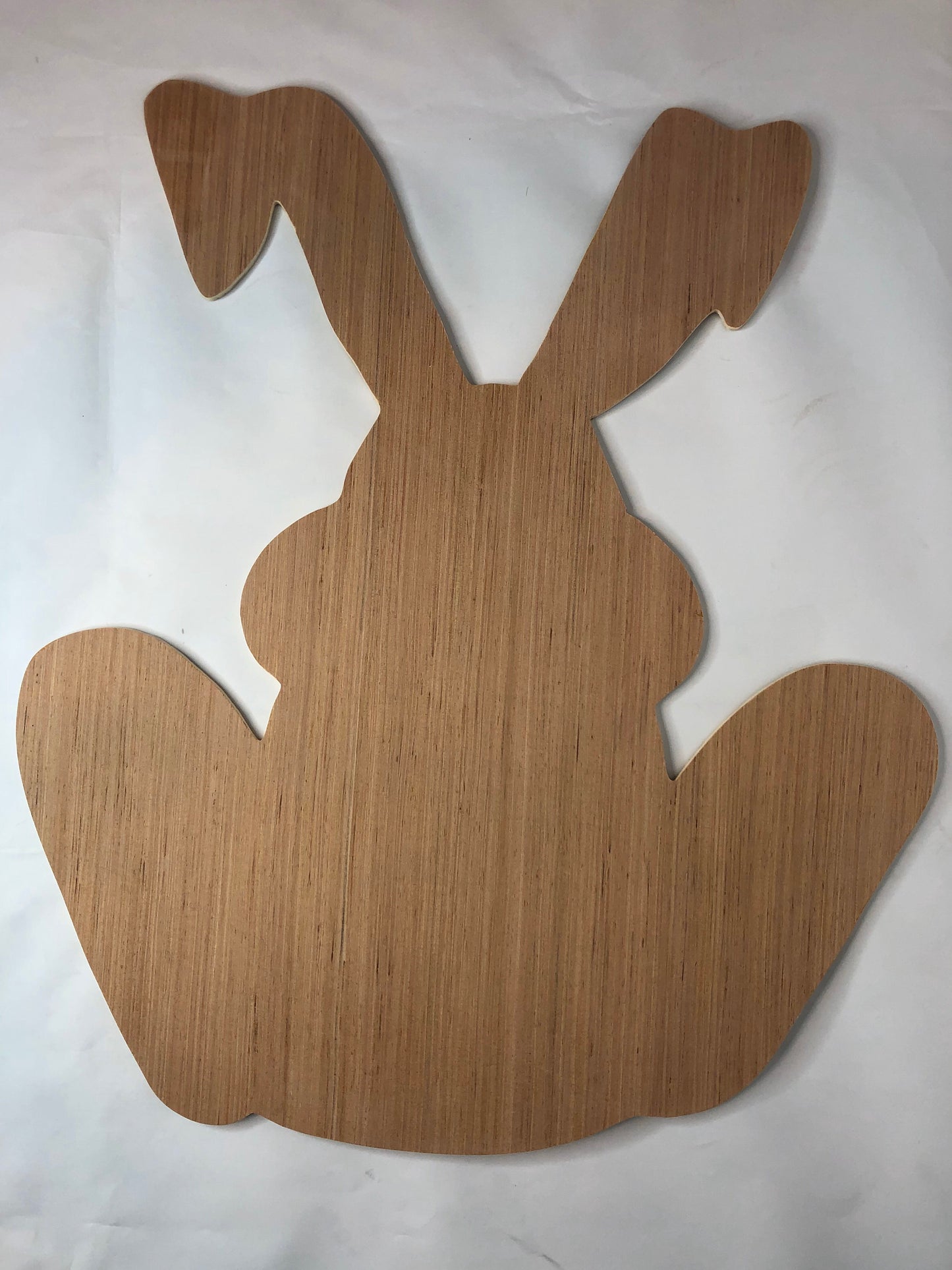 Easter Bunny Door Hanger Blank