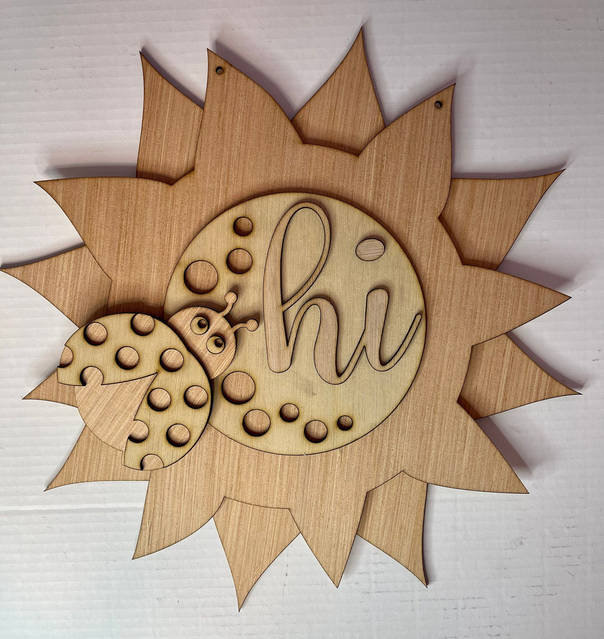 DIY Sunflower Ladybug Hi Door Hanger - Blank Wood Sign - Craft Supply - Unfinished Door Hanger