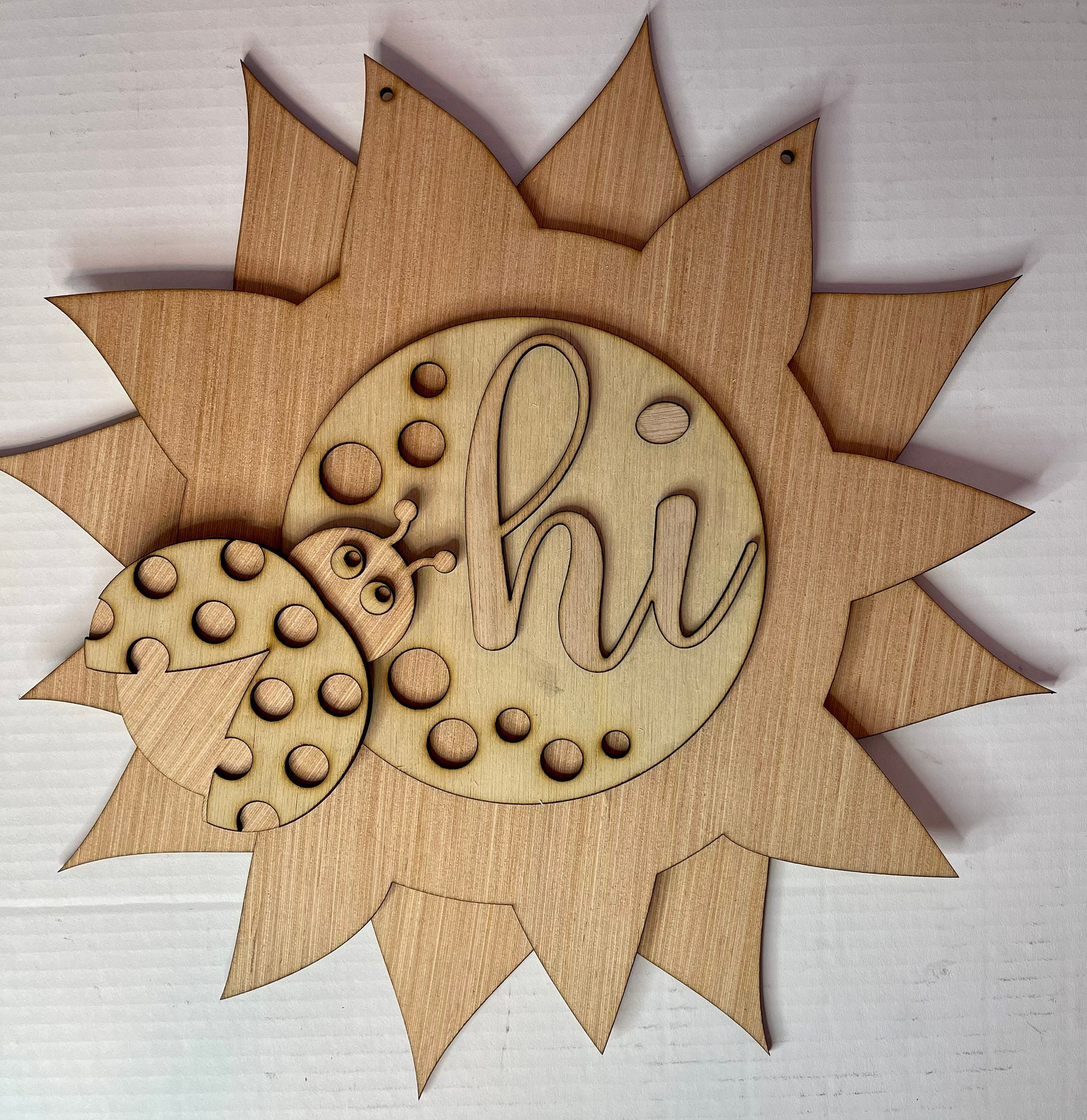 DIY Sunflower Ladybug Hi Door Hanger - Blank Wood Sign - Craft Supply - Unfinished Door Hanger